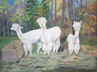 Painting - "Alpacas", by Ruth Friberg, Maine artist.