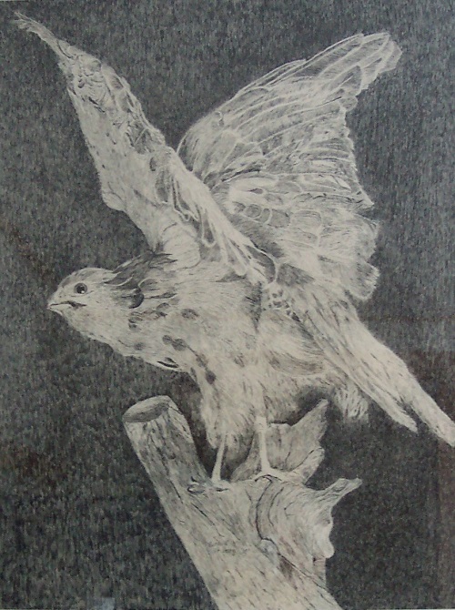 Painting - "Bird on a Branch", by Ruth Friberg, Maine artist