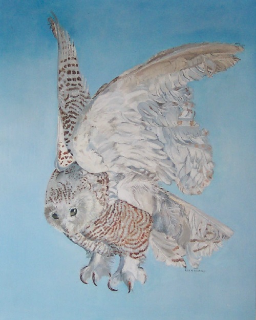 Painting "Owl in Pursuit" by Ruth Friberg, Maine artist