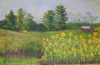 Painting "Yellow Flowrs in Field" by Ruth Friberg, Maine artist.l