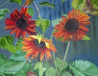 Painting - "Sunflowers", by Ruth Friberg, Maine artist.