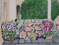 Painting - "Variety of Petunias"