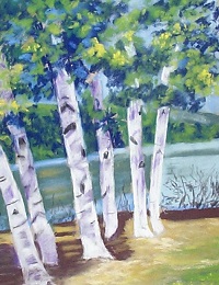 Painting - "Birch Stand", by Ruth Friberg, Maine artist