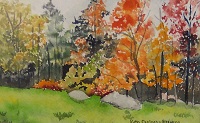 Painting - "Trees in Fall", by Ruth Friberg, Maine artist.
