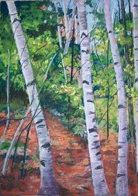 Painting - "Birch Tree Stand", by Ruth Friberg, Maine artist.